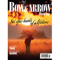 Bow & Arrow SIP 2018