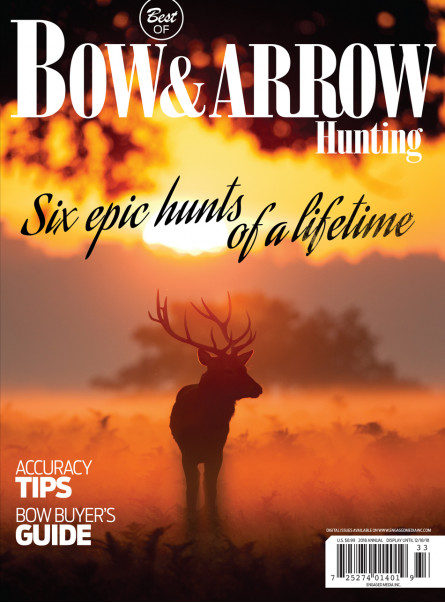 Bow & Arrow SIP 2018